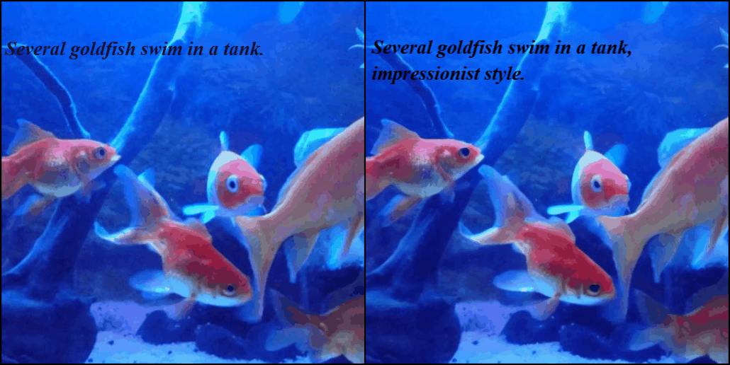 Goldfish transformation variation